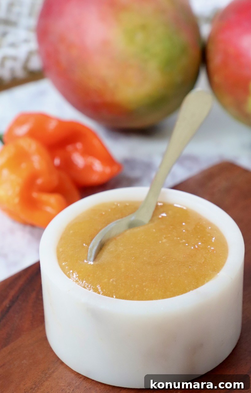 Mango Habanero Sauce Recipe for Wings and Grilled Meats 6 mango habanero sauce in a bowl with a spoon and fresh habaneros and mangos in the background