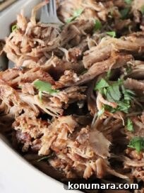 shredded pork carnitas in a bowl