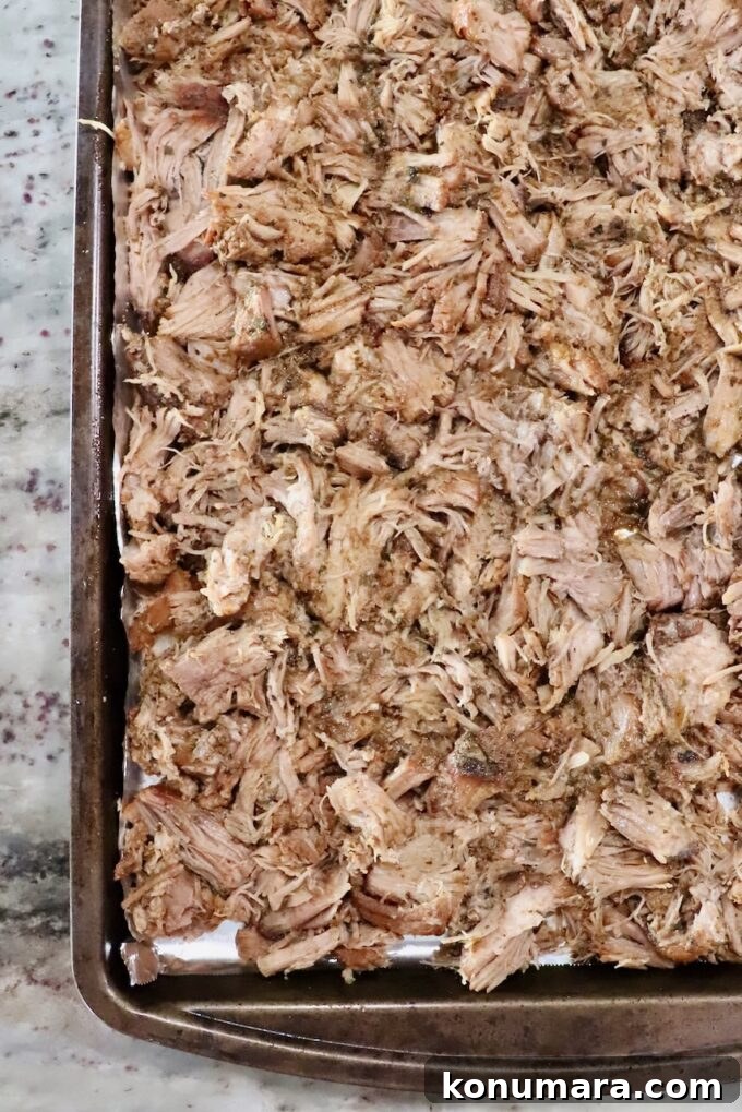 shredded pork spread out on a baking sheet