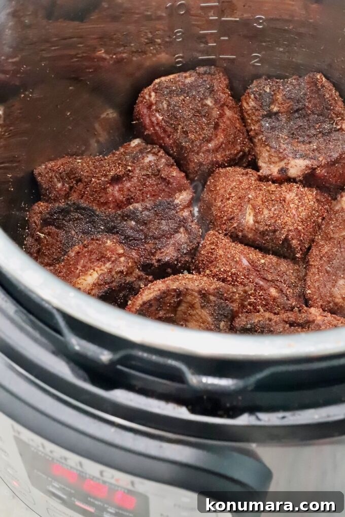 Instant Pot Beef Birria Tacos Recipe with Dipping Broth 5 seasoned, seared pieces of beef in an Instant Pot