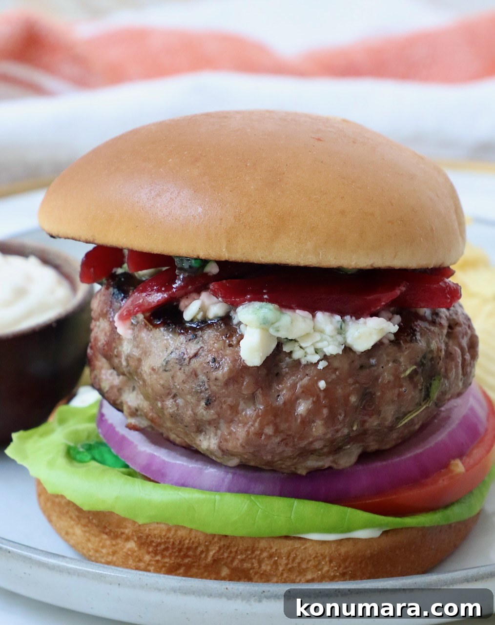 Grilled Mediterranean Lamb Burger with Mint Yogurt Sauce 8 lamb burger on a plate