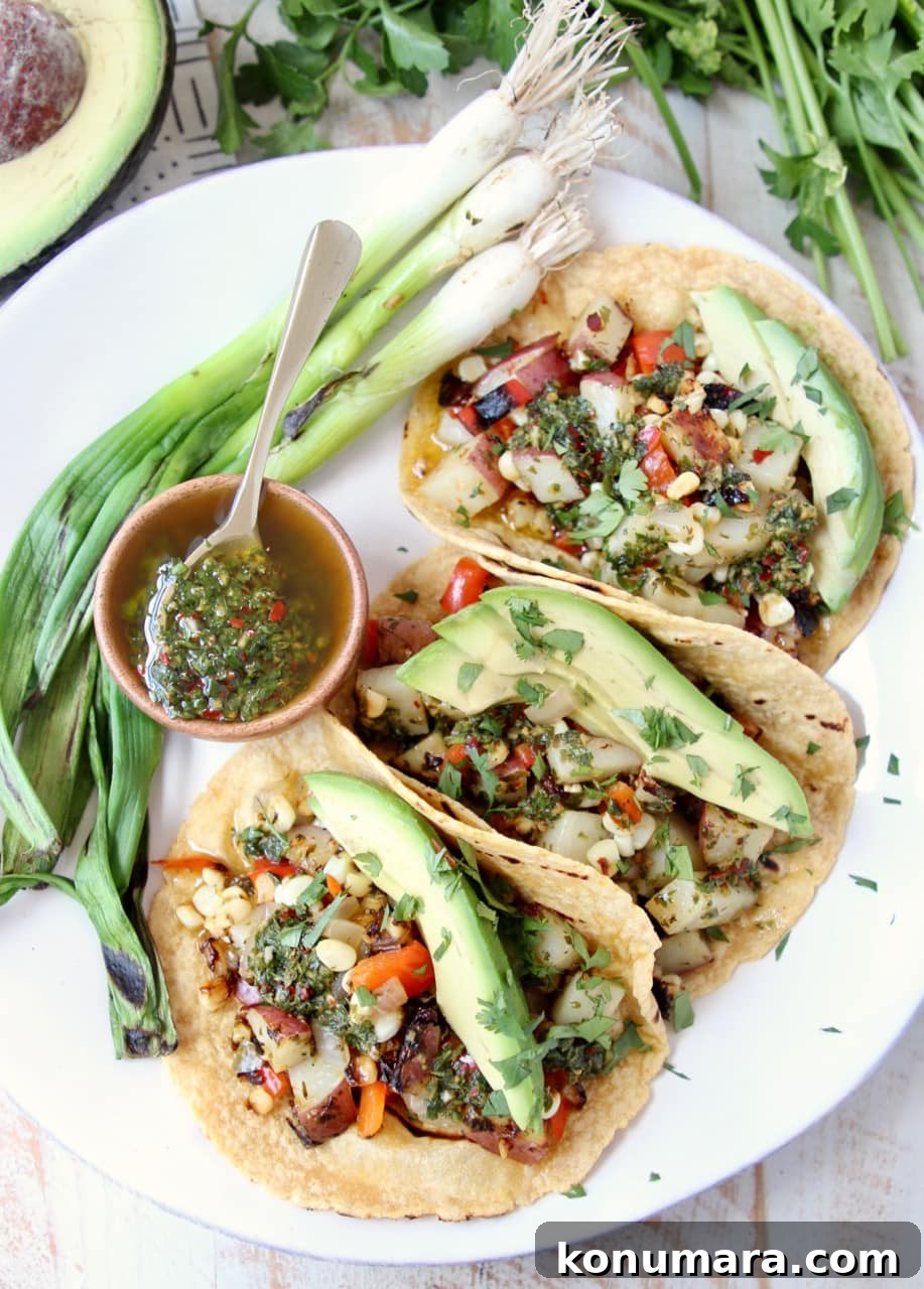 Vegan Tacos filled with Grilled Vegetables, Chimichurri Sauce and Fresh Avocado Slices