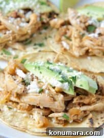 Chipotle Chicken Tacos