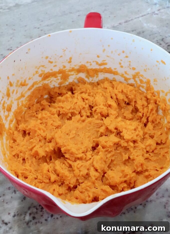 A red mixing bowl filled with smooth, bright orange mashed sweet potatoes sits on a speckled countertop