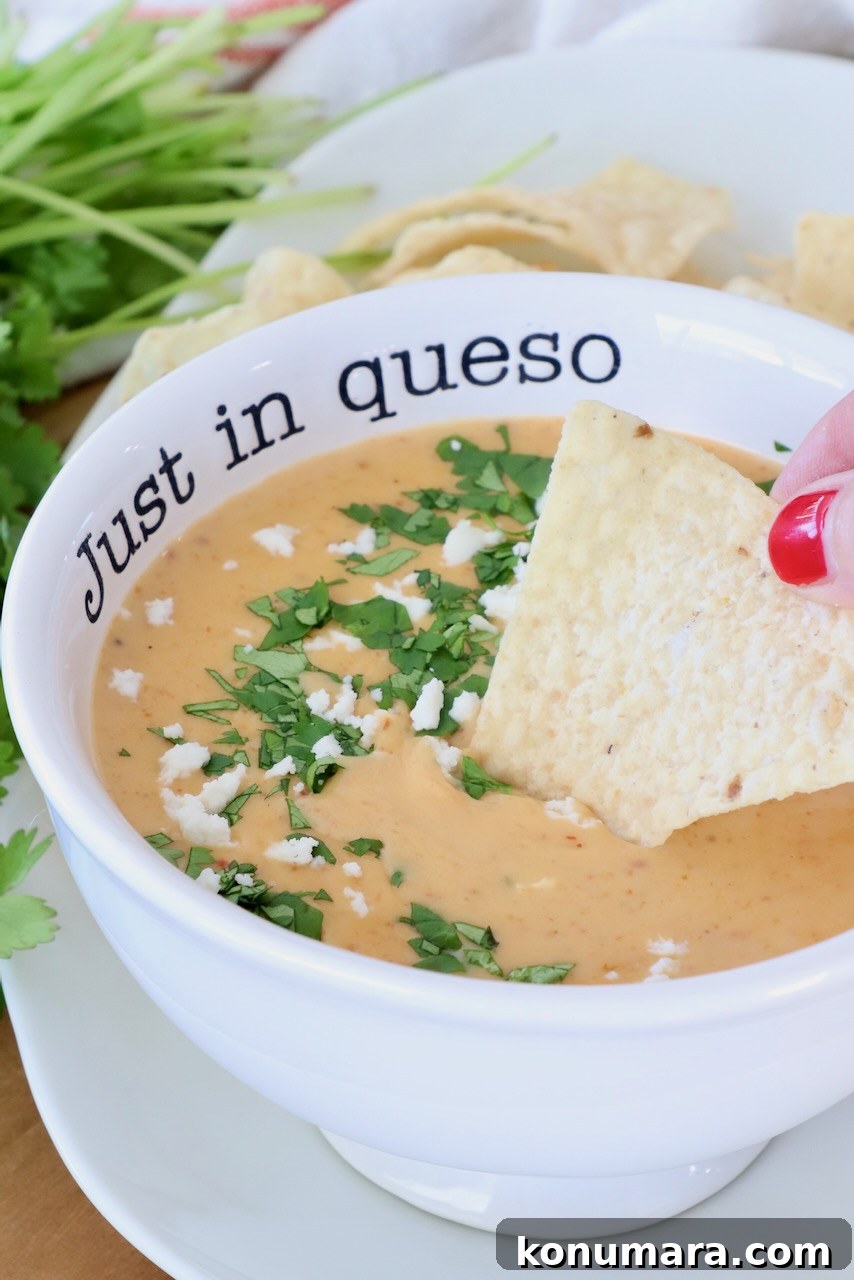 Curry Queso Dip Recipe 2 A bowl of queso dip garnished with cilantro and cheese, with a hand dipping a tortilla chip