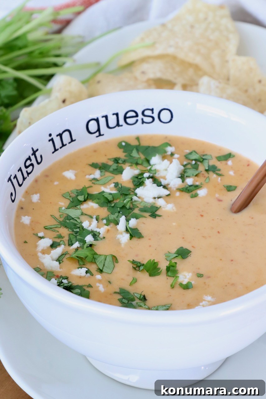 Curry Queso Dip Recipe 8 A bowl of creamy queso topped with cilantro and crumbled cheese beside tortilla chips