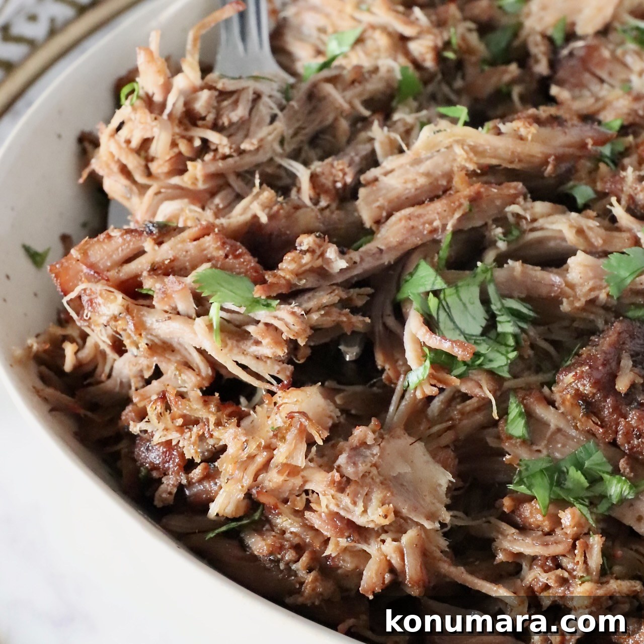 shredded pork carnitas in a bowl