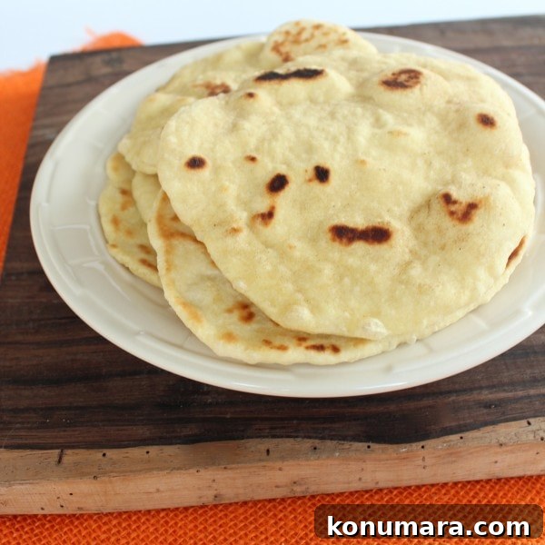 Pan Fried Thai Roti Bread
