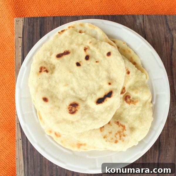 Pan Fried Roti Bread
