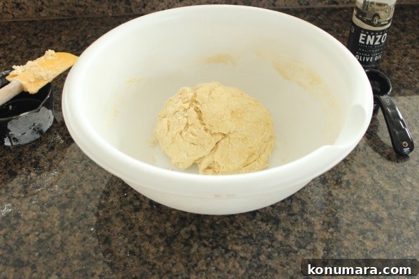 Roti Bread Dough