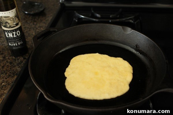 Pan Fried Roti Bread