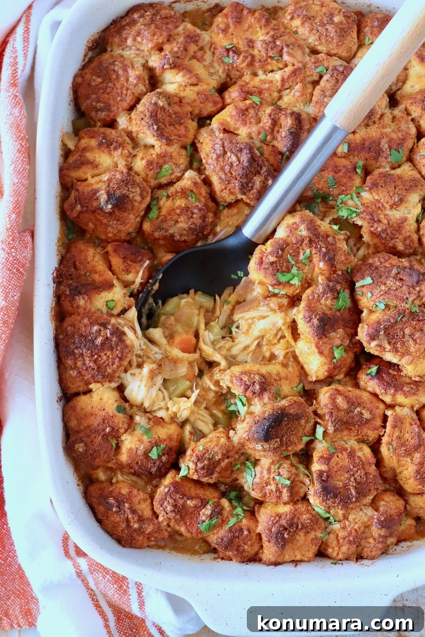 Golden-brown biscuits topped with herbs cover a hearty chicken and vegetable pot pie in a white dish. A spoon reveals the warm, savory filling.