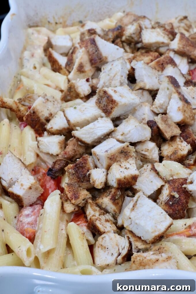 diced cooked chicken on top of pasta in a baking dish