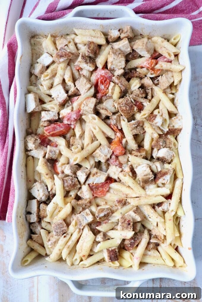 penne pasta in a creamy sauce with roasted tomatoes and diced chicken in a baking dish