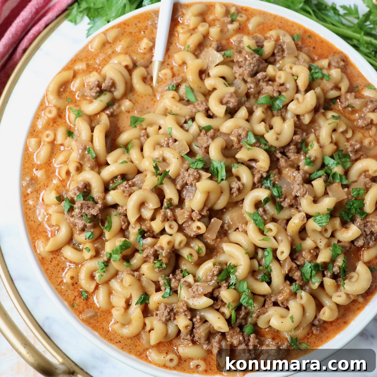 Quick Ground Beef Dinners for Weeknights 16 hamburger helper pasta in bowl