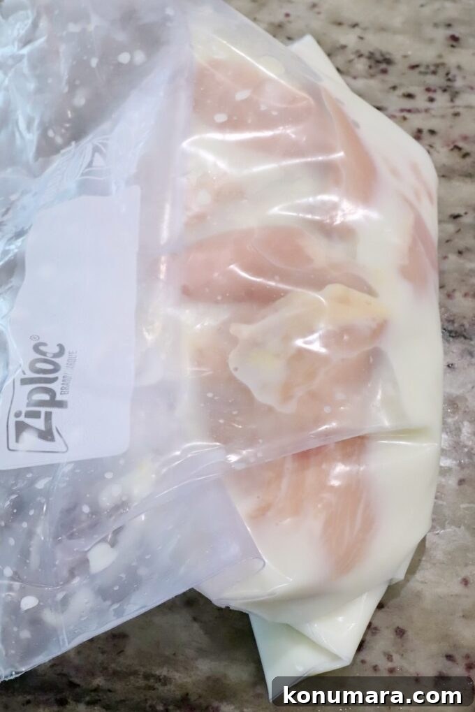 Crispy Air Fryer Chicken Sandwich Recipe 6 pieces of chicken in a plastic bag with a buttermilk brine
