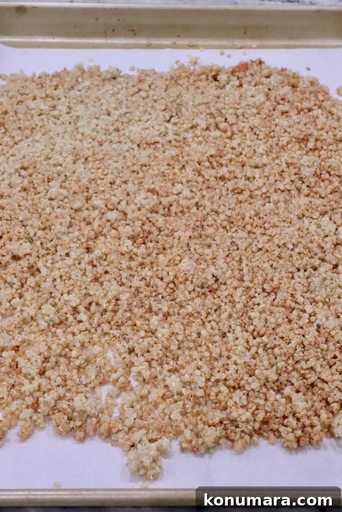 Seasoned cooked quinoa spread out on a parchment lined baking sheet
