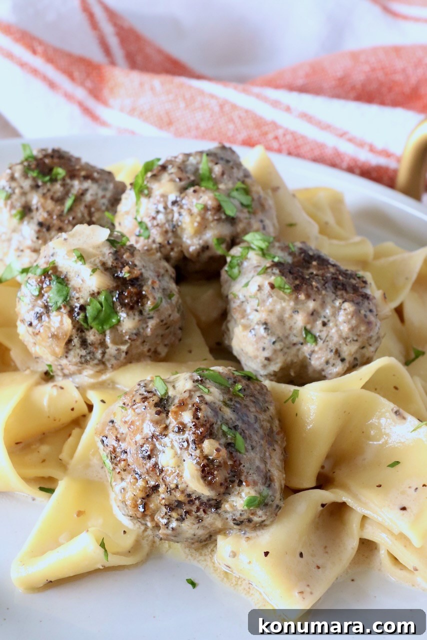 meatballs au poivre on top of pappardelle pasta on a plate