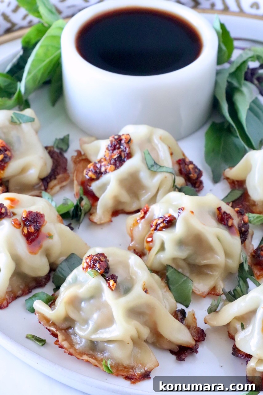 Thai Basil Chicken Dumplings Recipe with Chili Soy Dipping Sauce 2 Thai basil chicken dumplings on a plate with a small bowl of dark sauce behind the dumplings and fresh Thai basil leaves on the side