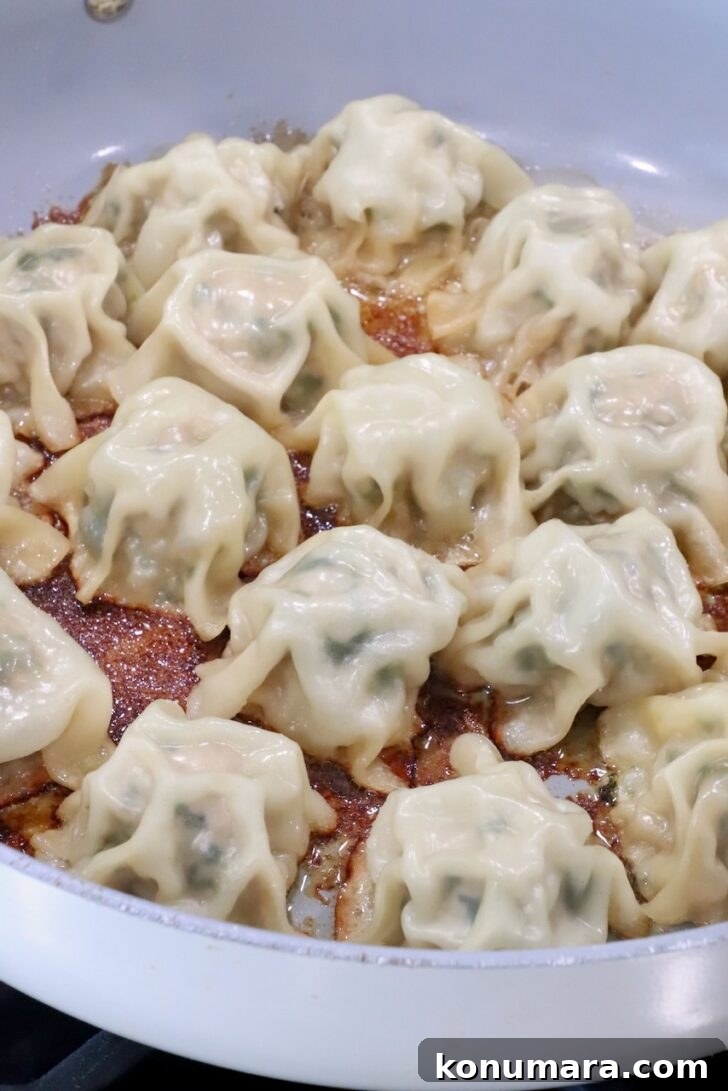Thai Basil Chicken Dumplings Recipe with Chili Soy Dipping Sauce 11 cooked blanket dumplings in a large skillet