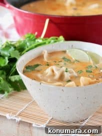 Thai Coconut Potsticker Soup