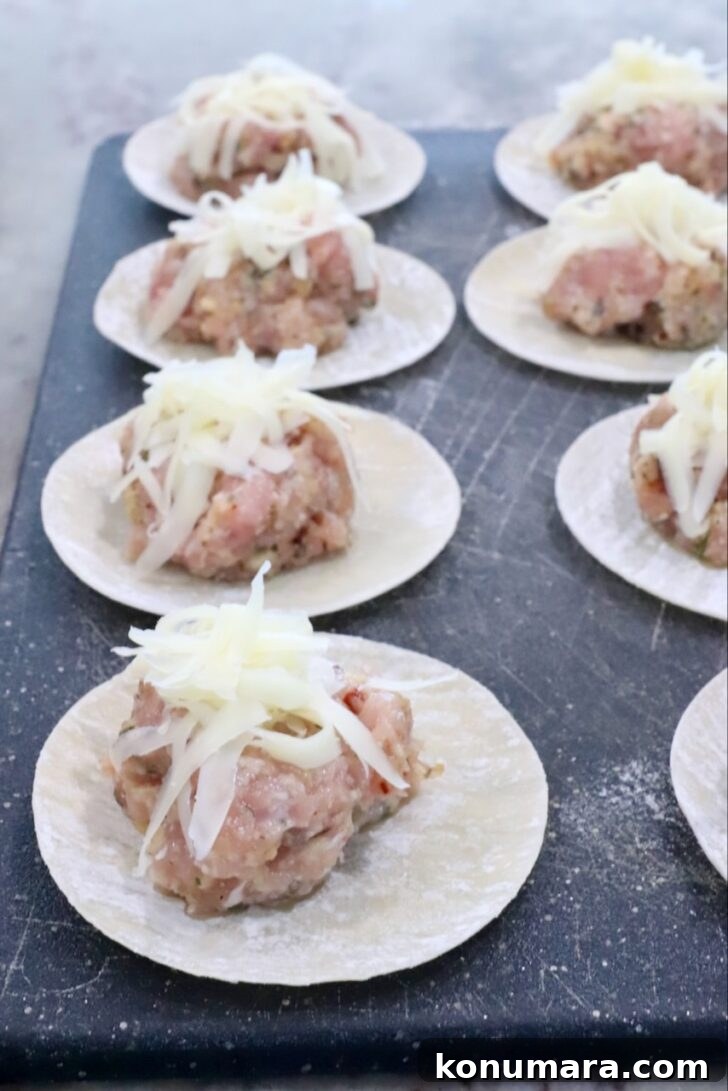 Round dumpling wrappers topped with seasoned minced meat and shredded cheese, arranged in rows on a dark surface.