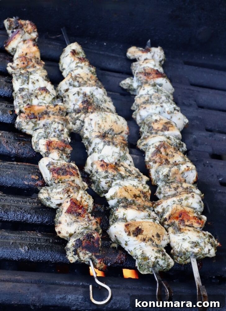How to Make Authentic Greek Souvlaki 9 grilled chicken breast skewers on a grill