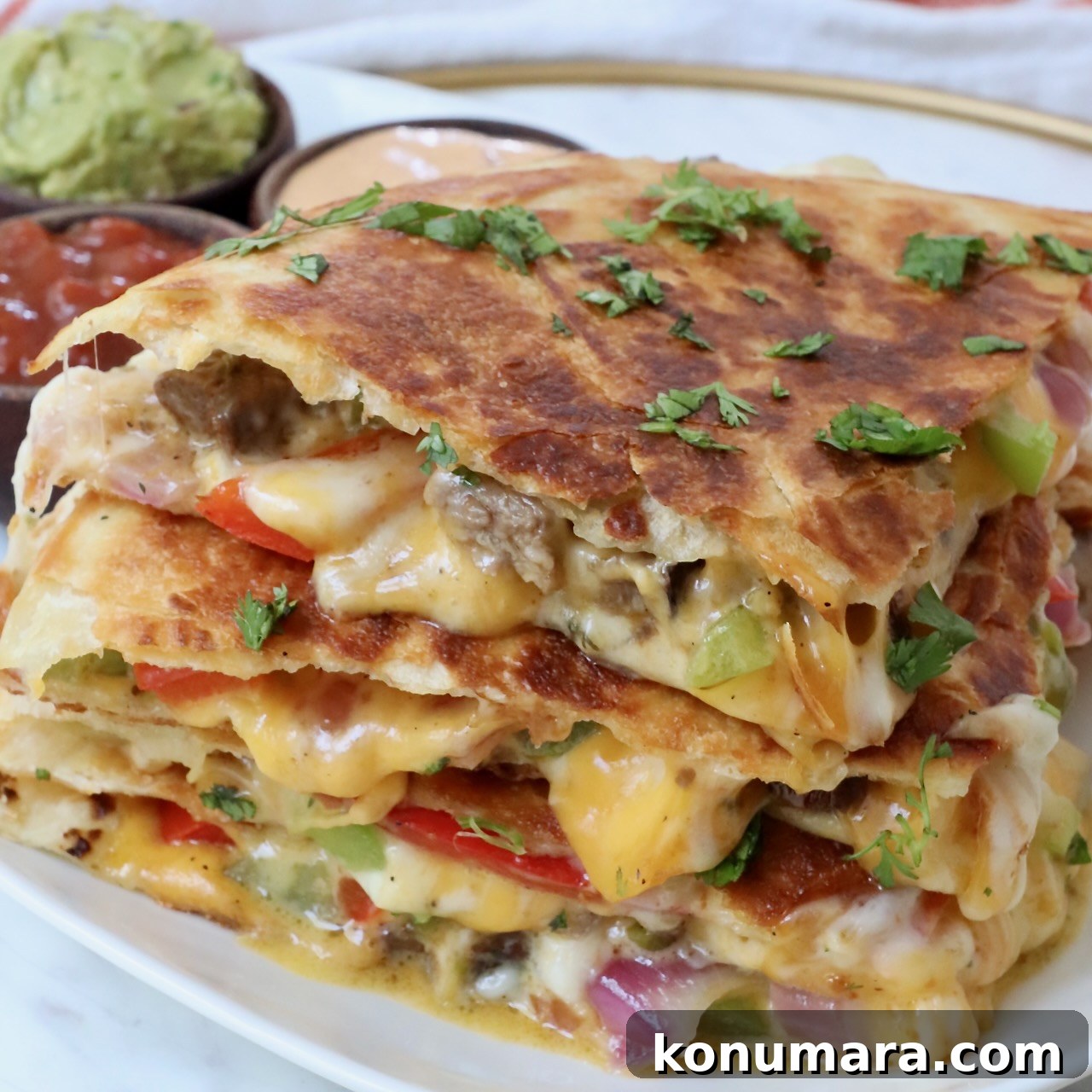 Steak quesadilla cut into triangles