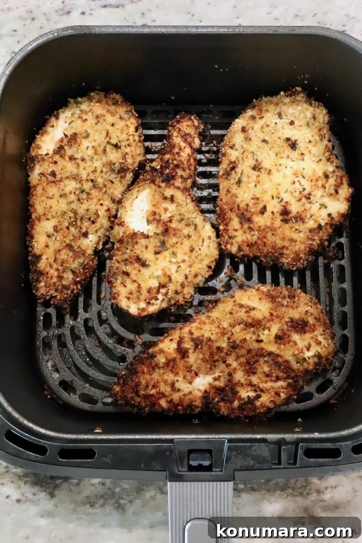 Creamy Chicken Caesar Pasta with Parmesan and Croutons 9 cooked breaded chicken breasts in an air fryer basket