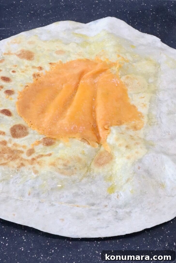 crispy cheese in the middle of a large tortilla