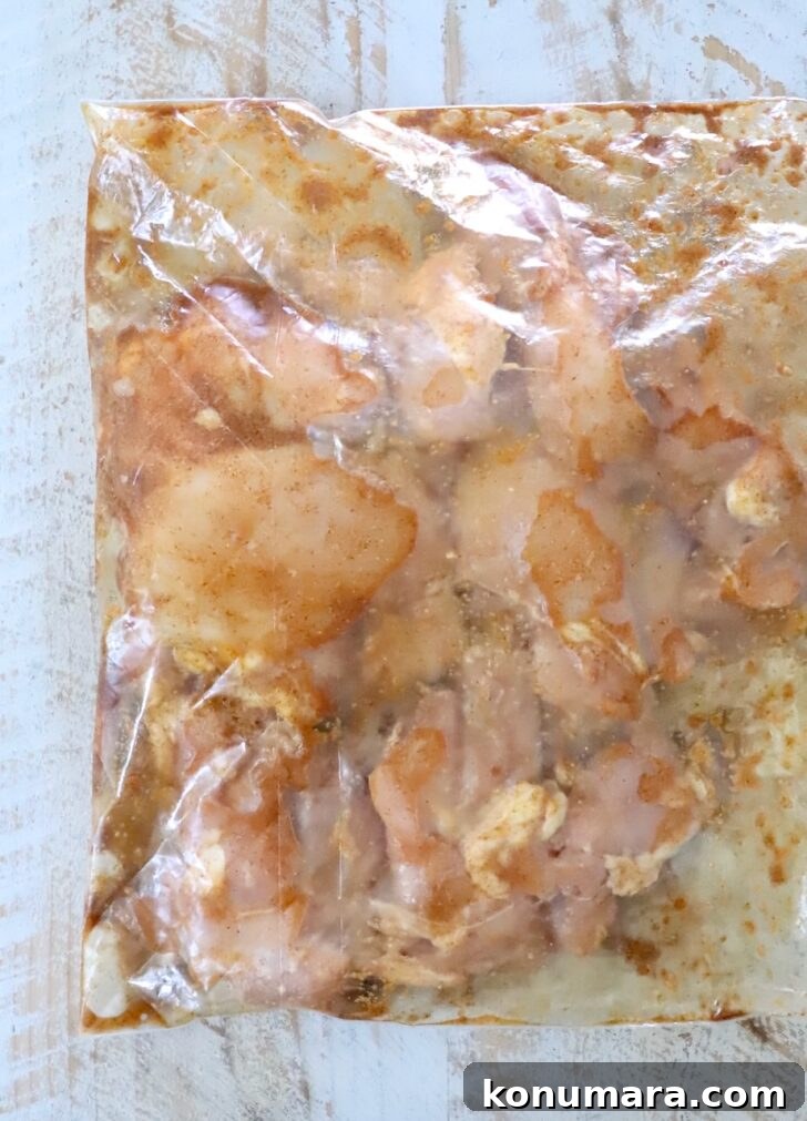 Chicken Shawarma Tacos with Garlic Yogurt Sauce 6 chicken thighs marinated in a plastic zipper bag