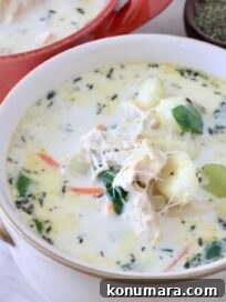 Chicken Gnocchi Soup